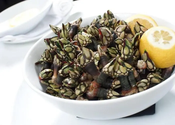 Azinhanca Do Mar Lourinhã