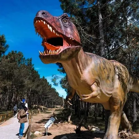 Azinhanca Do Mar Willa *