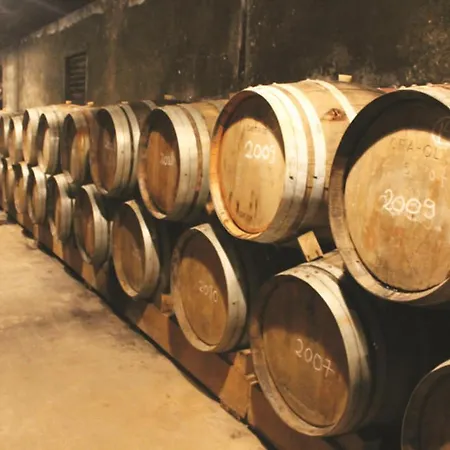 Azinhanca Do Mar Willa