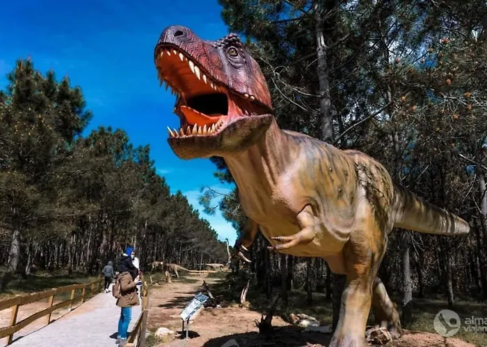 Azinhanca Do Mar فيلة *