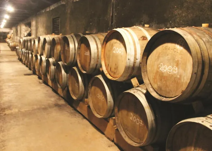 Azinhanca Do Mar فيلة